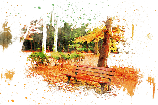Picture